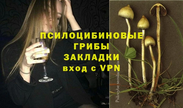 первитин Бородино